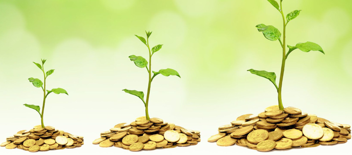 A number of plants growing out of a pile of coins.